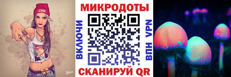 Галлюциногенные грибы мицелий  ОМГ ОМГ   Емва  сайты даркнета формула  как найти закладки 